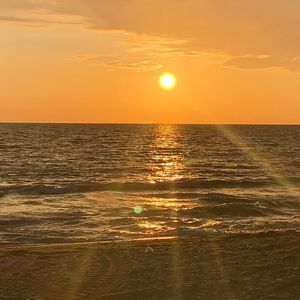 Meet your Posher, Carly